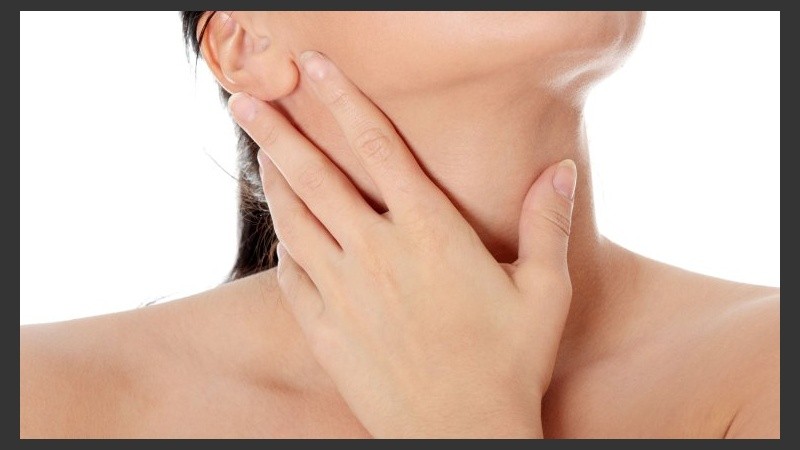 La glándula tiroides es parte del sistema endocrino y le ayuda al cuerpo a regular el metabolismo.
