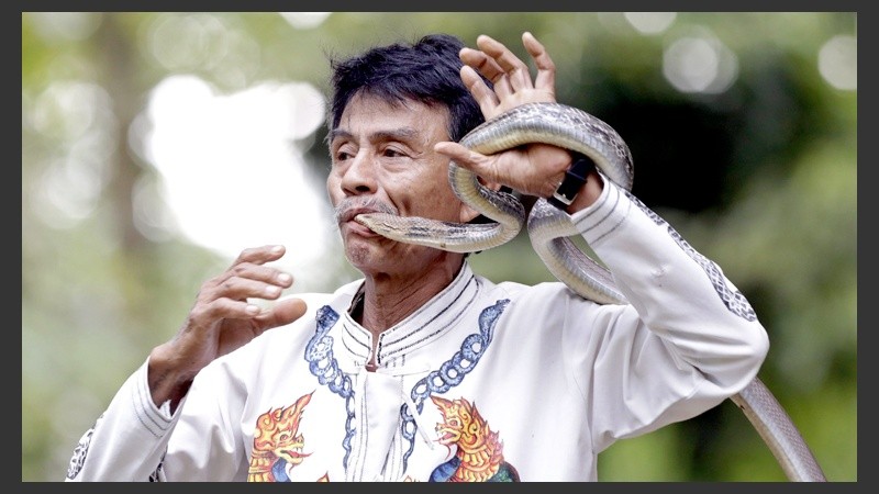Sein Tin, de 60 años, manipula una serpiente a su manera.