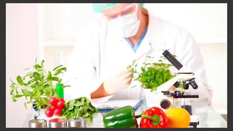 La carrera está orientada al área de investigación teórica y aplicada en el campo de los alimentos.
