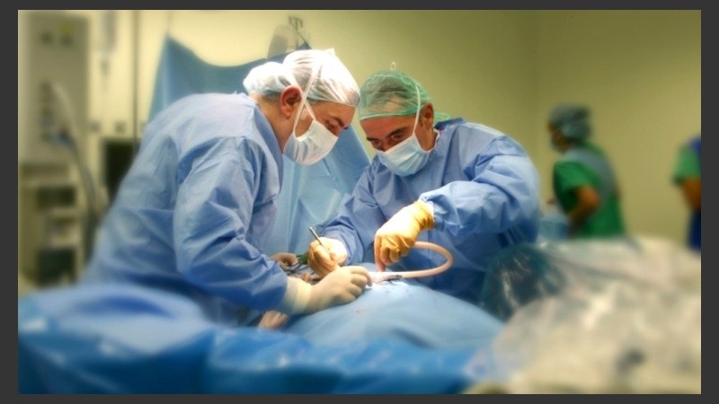 Más de 7.700 personas esperan un trasplante de órganos y más de 3.200 de córneas a nivel nacional.