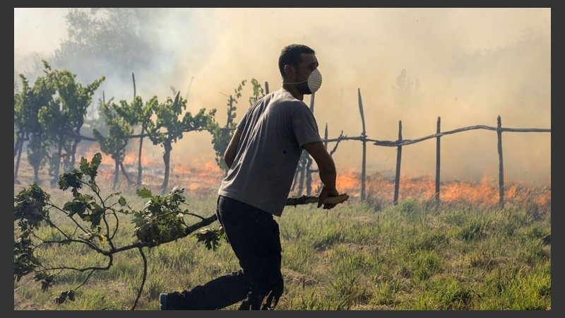 Un joven se dirige rápidamente con una rama a combatir el incendio que se ha desatado en los alrededores de su hogar. (EFE)