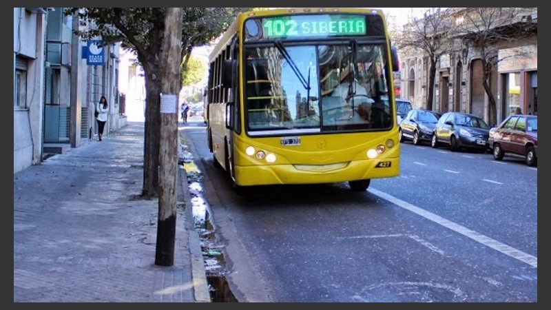 ¿Rosario Bus sigue o se cae la concesión?