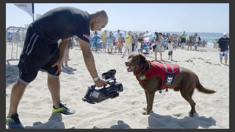 Este perro brasilero posa ante cámara durante la jornada de competencia. (EFE)