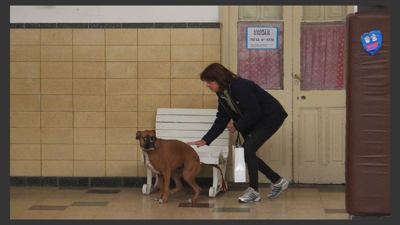 Voto animal. Ella vino con el perro y lo ató en un banquito mientras votaba. (Rosario3.com)
