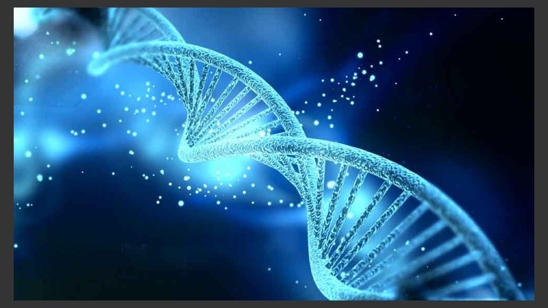 El 98 % del material genético humano es considerado como ADN 