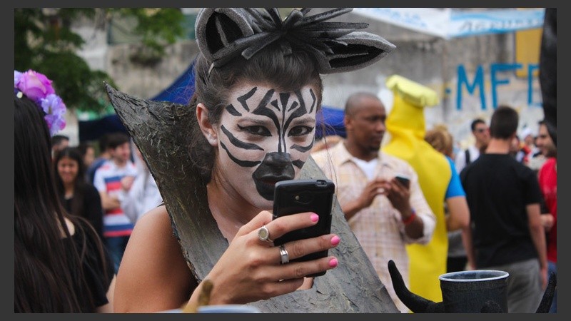 Una cebra chequea el celular y mira de reojo la cámara. (Alan Monzón/Rosario3.com)