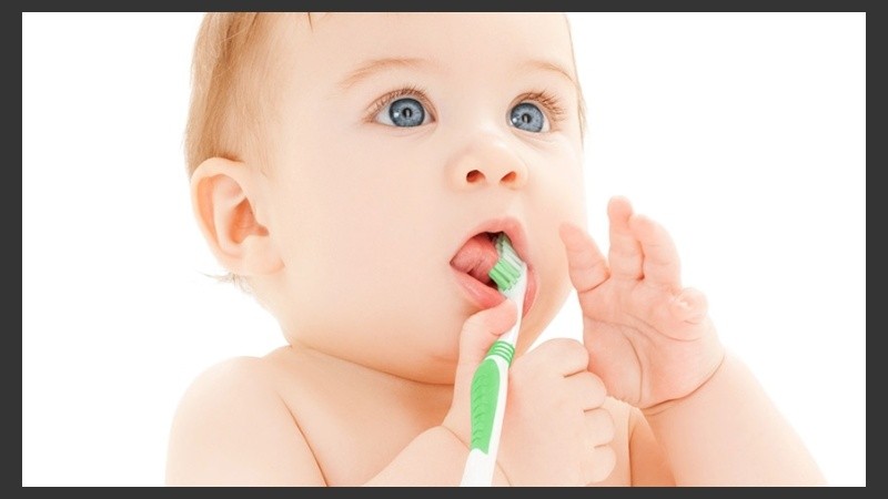 Apenas salen los dientes, se le puede dar al niño un cepillo blandito para que lo muerda y vaya adquiriendo el hábito del cepillado. 