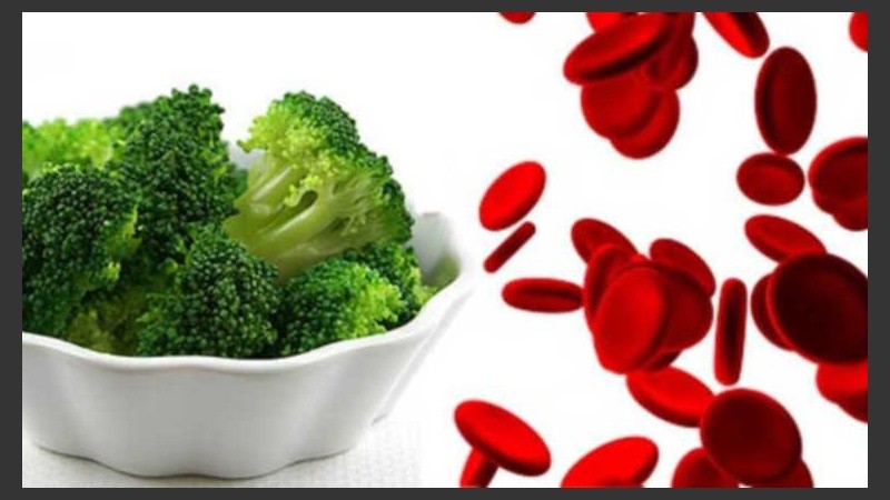 La buena o mala asimilación de los alimentos estaría relacionada con el grupo sanguíneo.