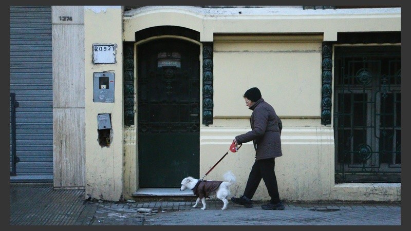 Una señora pasea a su perro bien temprano. El can con su abrigo. (Rosario3.com)