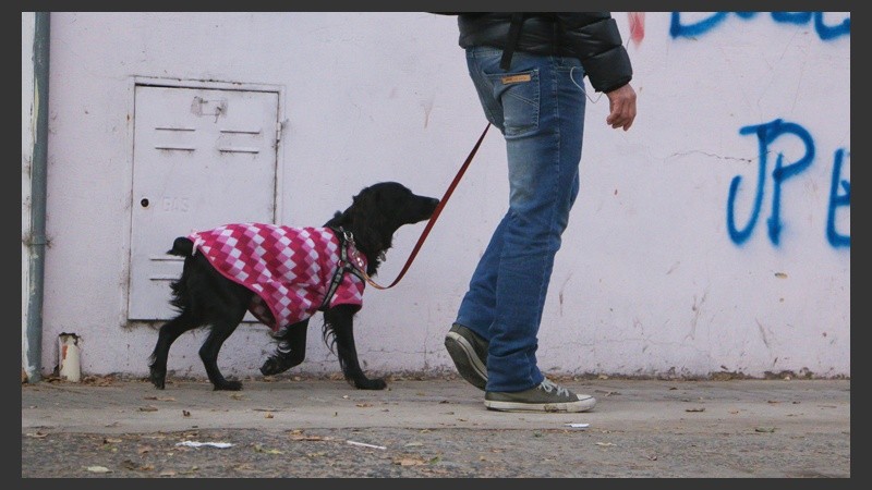 Ropa de diversos tipos y colores son visto en perros cuando el frío se siente en la ciudad. (Rosario3.com)