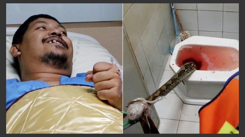 Mientras hospitalizaban a Attaporn, expertos liberaban a la serpiente del inodoro. 