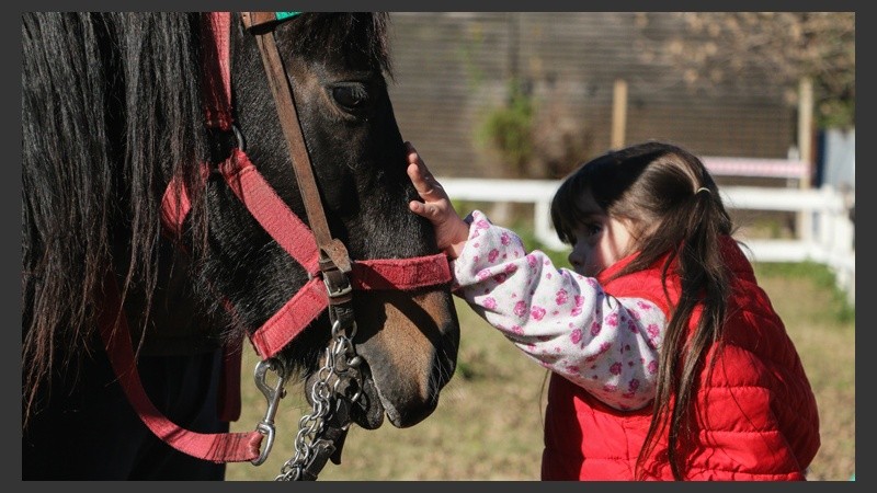 Una niña se despide de su caballo durante una sesión de equinoterapia. (Alan Monzón/Rosario3.com)