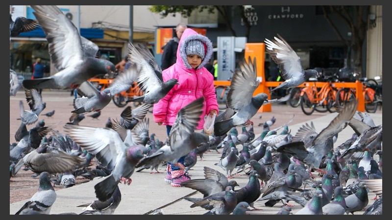 Una niña rodeada de palomas en el centro rosarino. (Alan Monzón/Rosario3.com)
