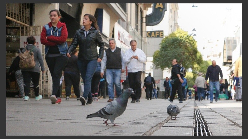 En Peatonal Córdoba las palomas hacen de las suyas. (Alan Monzón/Rosario3.com)
