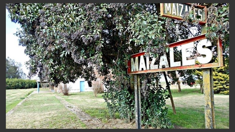 Planta campamentil Maizales.