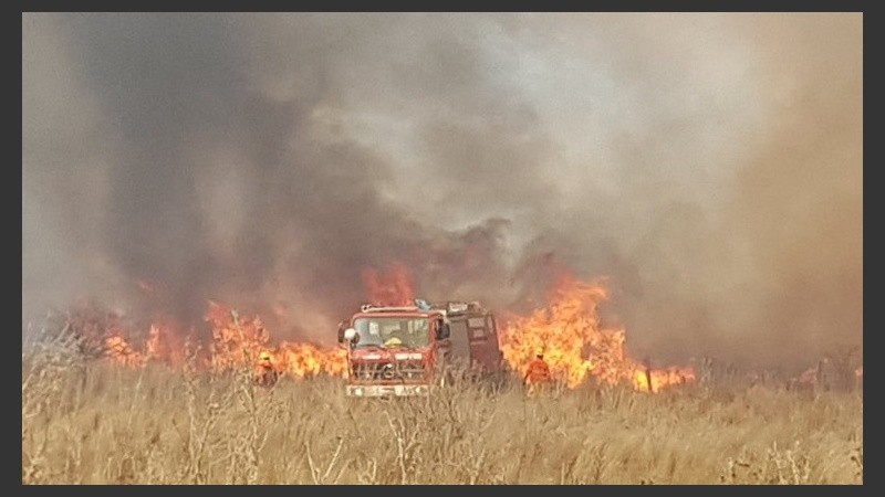 Las llamas afectaron unas 4 mil hectáreas.