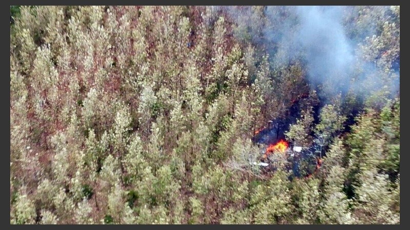 El fuego arrasó con la aeronave y las víctimas quedaron carbonizadas.