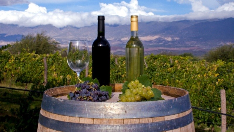 En el área central del imponente Valle Calchaquí se extiende la zona vitivinícola tucumana