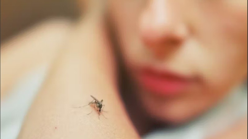 El dengue presenta dolores fuertes en todo el cuerpo.