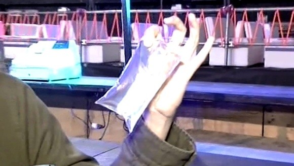 Agua en sachets, parte de los cuidados.