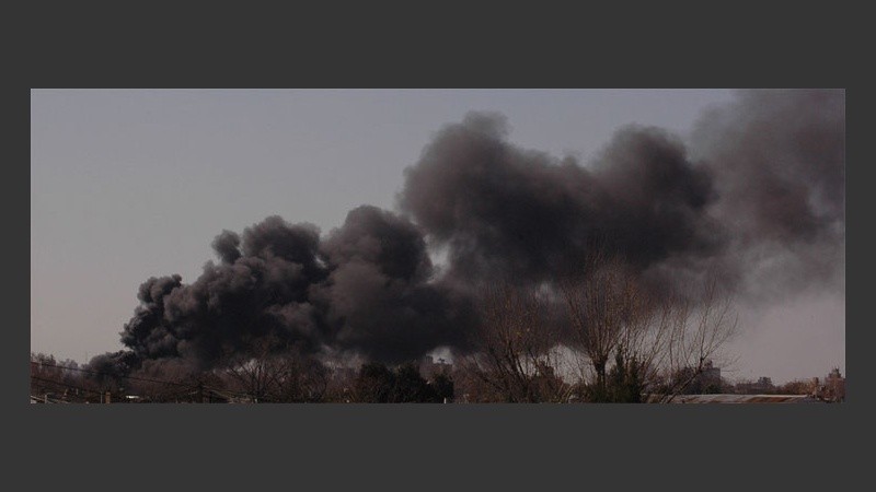 El hongo gris atrajo a los curiosos. 