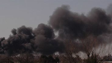El hongo gris atrajo a los curiosos.