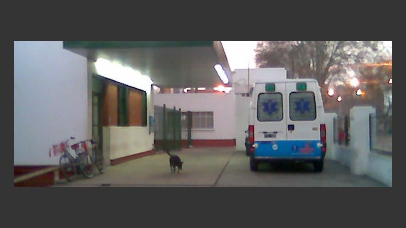 Amanecer en el Carrasco. La ambulancia parada y apenas un perro callejero.  