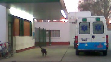 Amanecer en el Carrasco. La ambulancia parada y apenas un perro callejero.