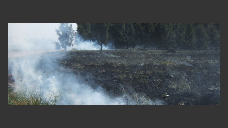 El fuego arrasó cerca de dos hectáreas