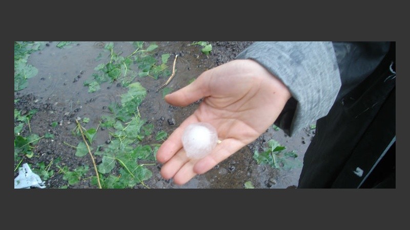 Algunas piedras llegaron a medir más de 5 centímetros.