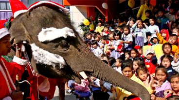 Un elefante disfrazado de Papá Noel en Tailandia (EFE).
