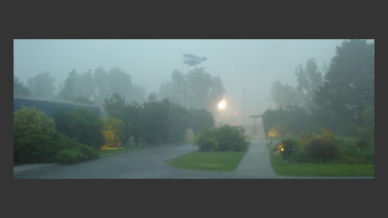 La intensidad del viento se notó en la copa de los árboles.