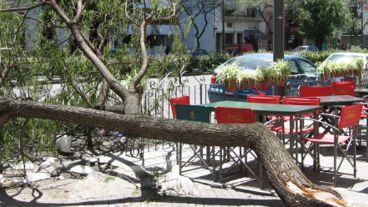 La tragedia pasó a centímetros de las mesas de un bar de calle Pellegrini.
