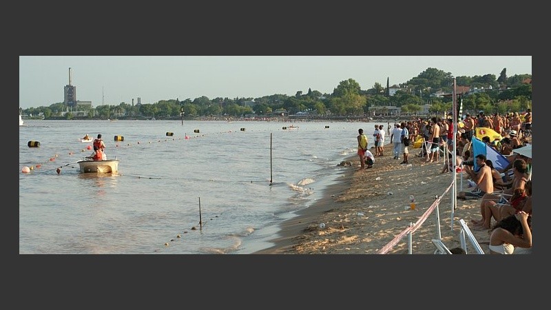Todos afuera del agua por la llegada del animal (Ramiro Nogal).