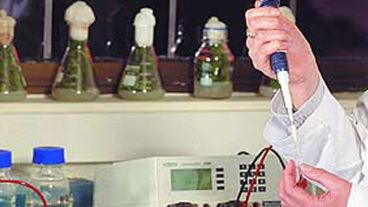 Técnicas similares ya habían sido utilizadas en Alemania para la reproducción animal