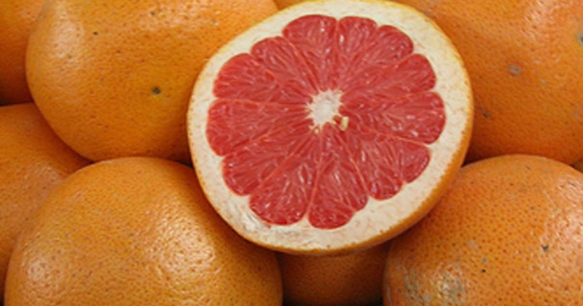 Estudian los beneficios del pomelo contra la diabetes Rosario3
