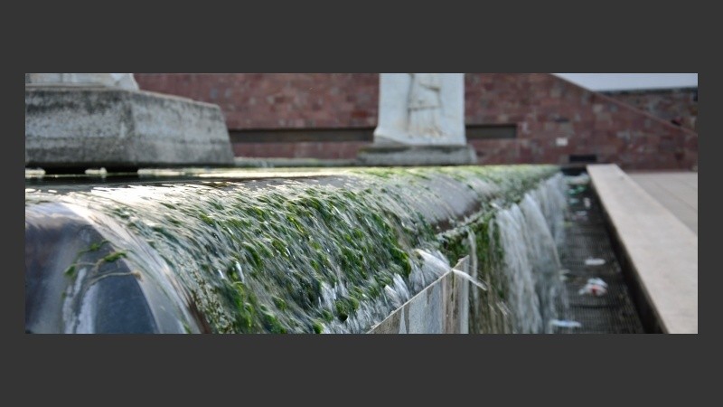 La caída del agua llena de vegetales.