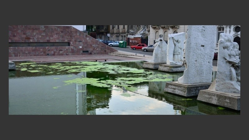 El espejo de agua se tiñó de verde.