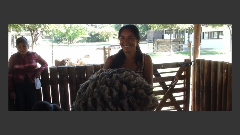 Roberta muestra el vellón, el material que será convertido en lana. 