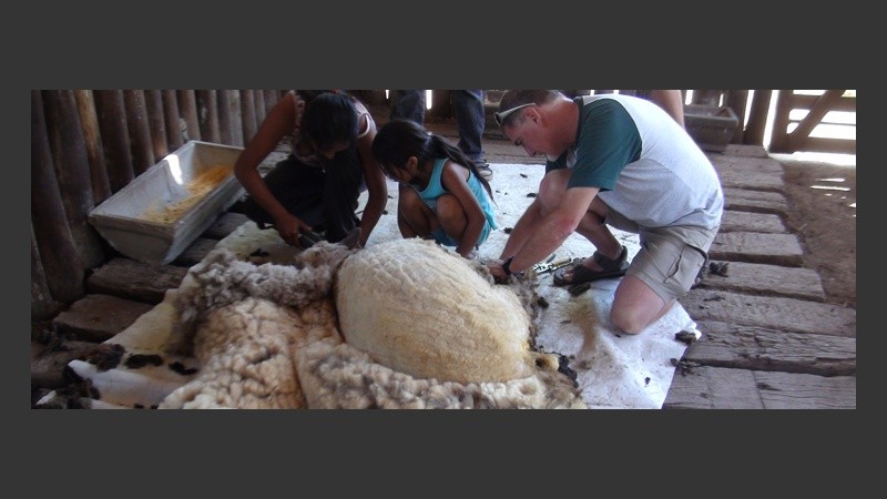 El año pasado, Roberta esquiló unas 20 ovejas de distintas quintas aledañas. 