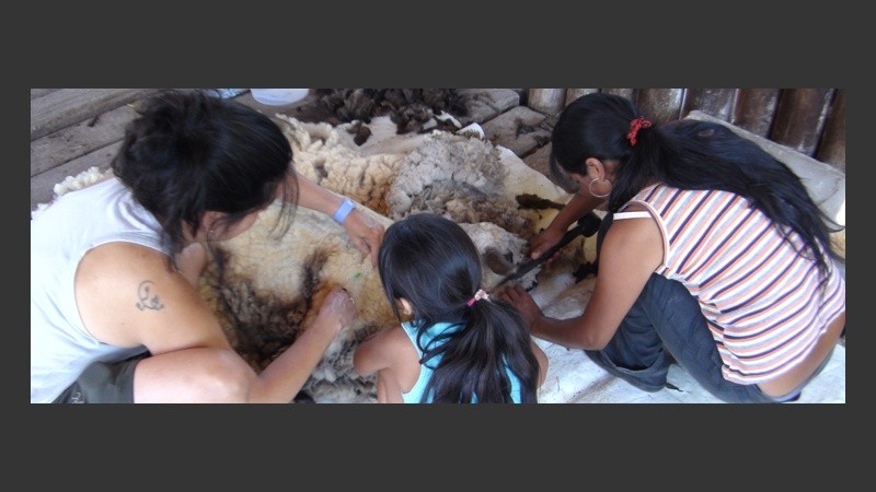 Los detalles para lo último. 