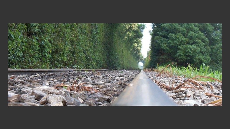 Soldini, un pueblo con naturaleza viva.