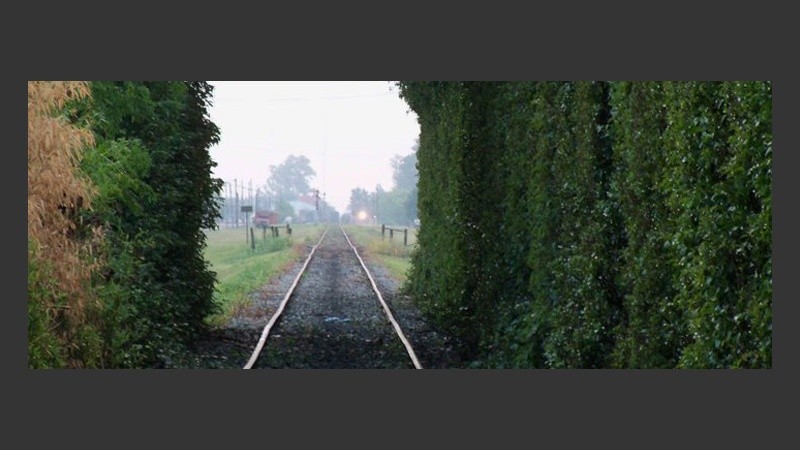 Soldini, un pueblo con naturaleza viva.