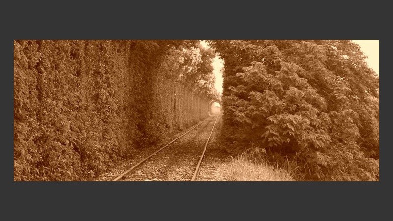 Soldini, un pueblo con naturaleza viva.