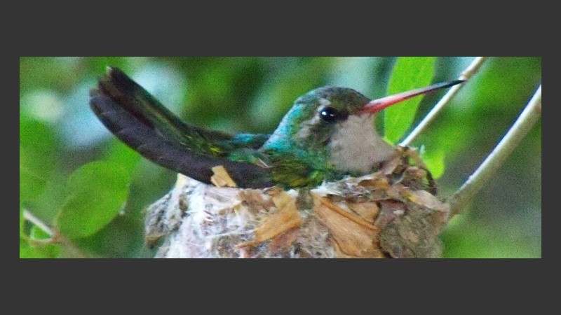 Soldini, un pueblo con naturaleza viva.