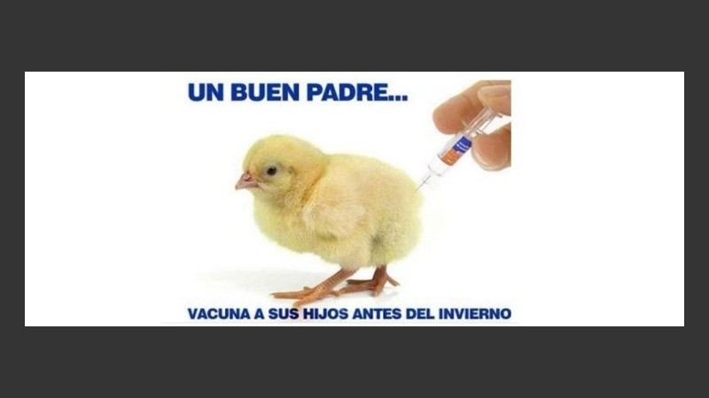 Las cargadas que se difundieron en la web.