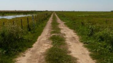 Sobre el dique, el ganadero genera un camino y modifica el ecosistema.