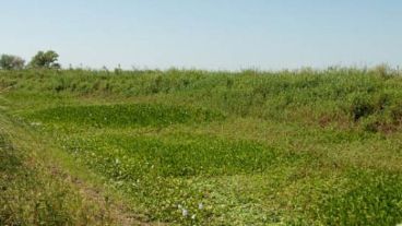 El cauce de agua tabicado por el empresario.