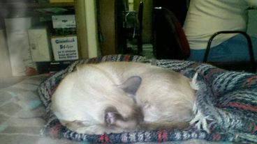 El fantasma del Heca de entrecasa y con amigos.