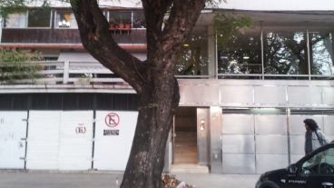 El árbol dificulta pero no impide el parte el ingreso a la cochera.